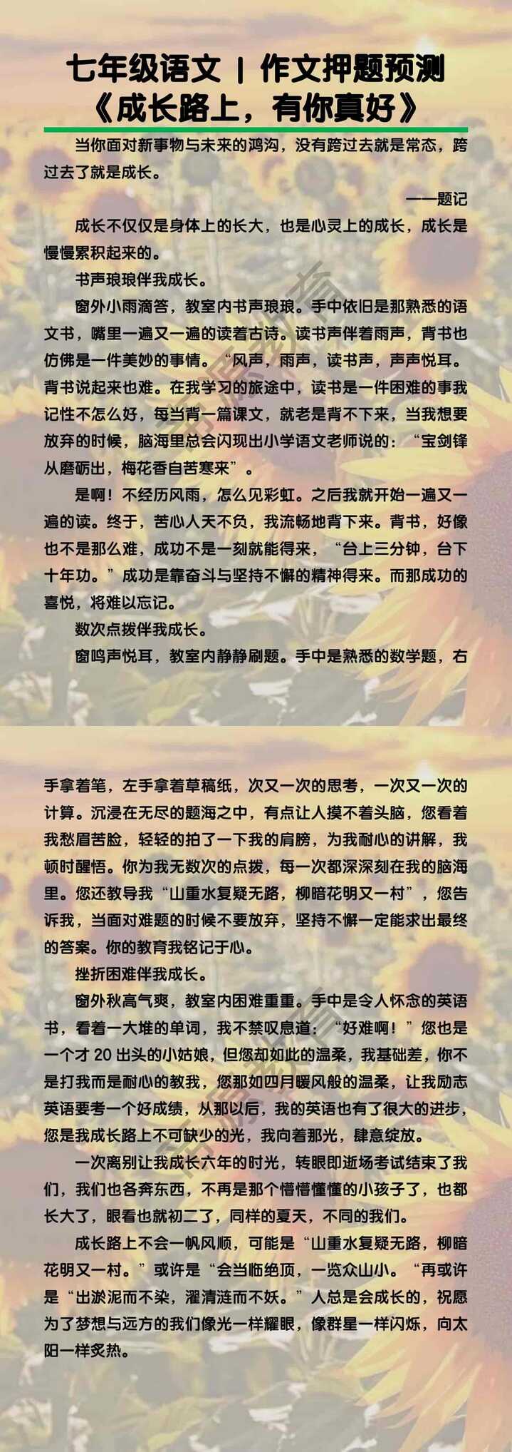 七年级语文作文押题预测《成长路上，有你真好》
