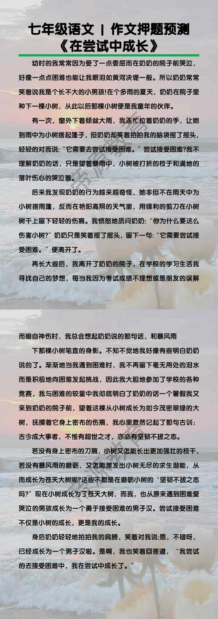 七年级语文作文押题预测《在尝试中成长》