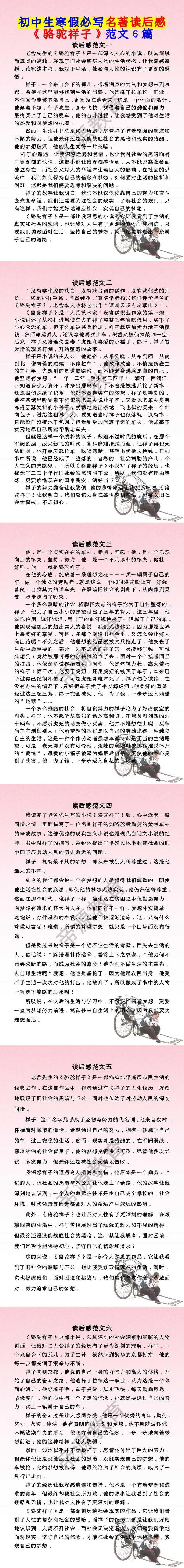 七年级语文下册寒假必写名著读后感 《骆驼祥子》范文6篇