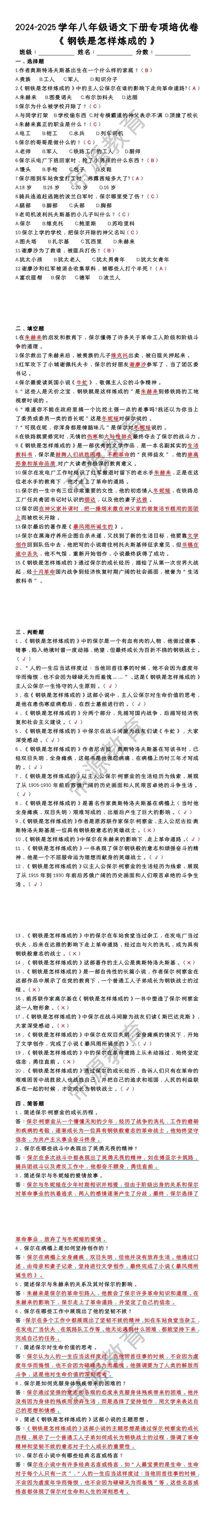 八年级语文下册《钢铁是怎样炼成的》专项培优卷