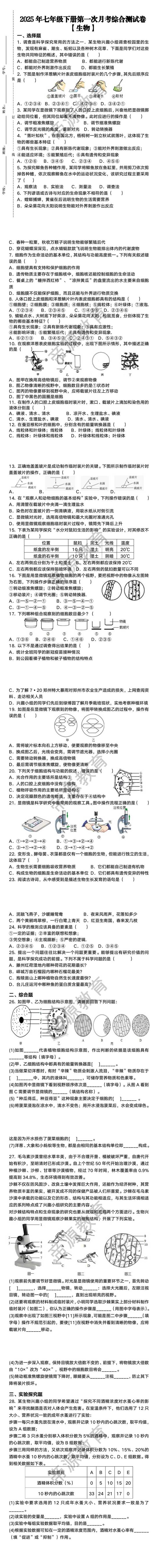 2025年七年级生物下册第一次月考综合测试卷