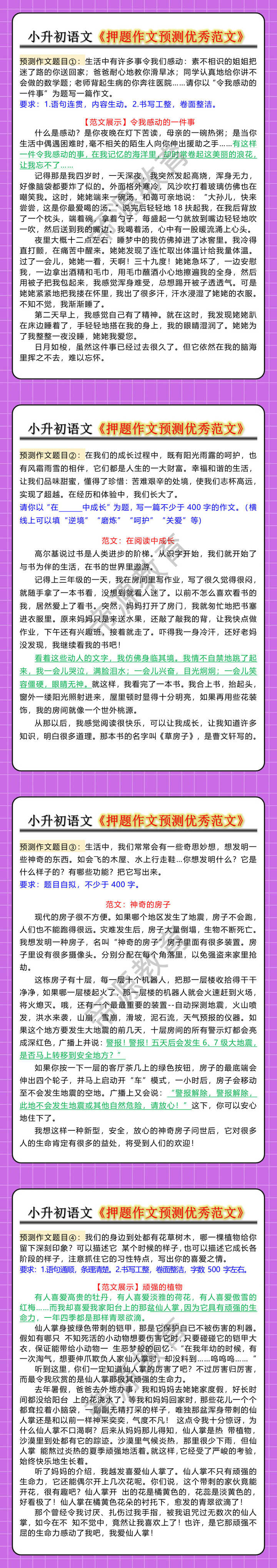 小升初语文《押题作文预测优秀范文》