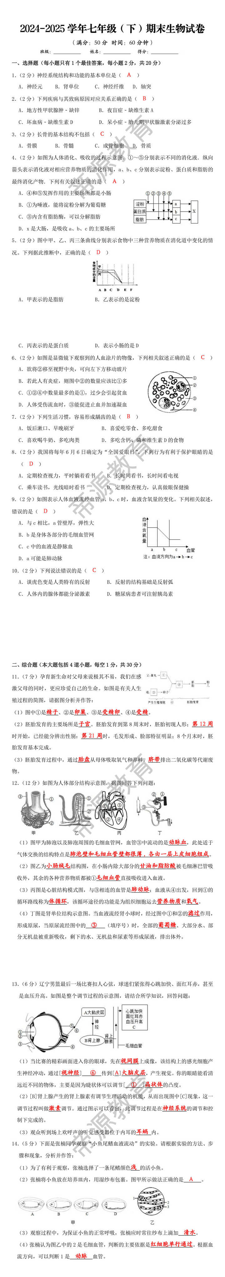 2024-2025学年七年级（下）期末生物试卷