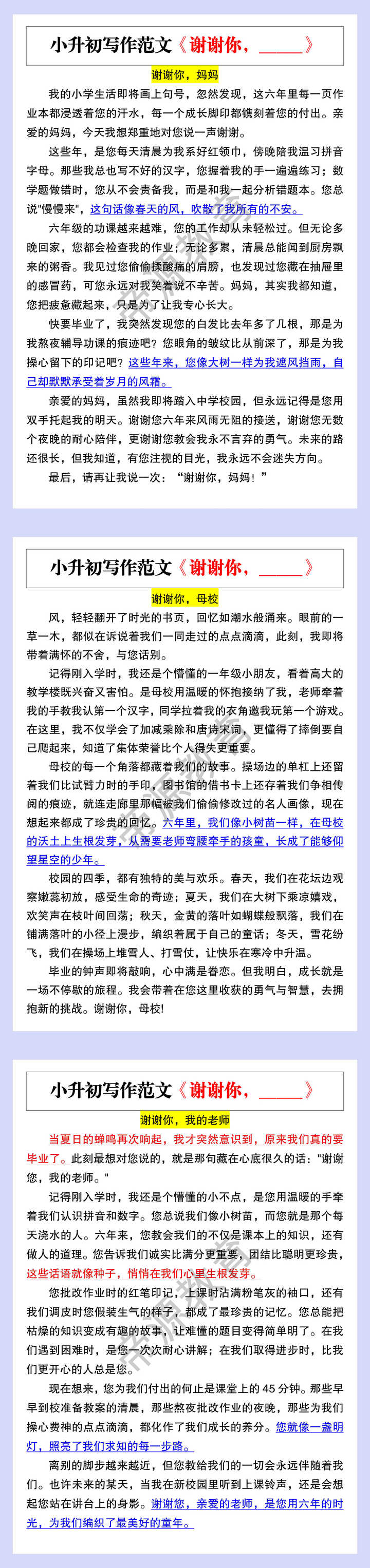小升初写作范文《谢谢你，_____》