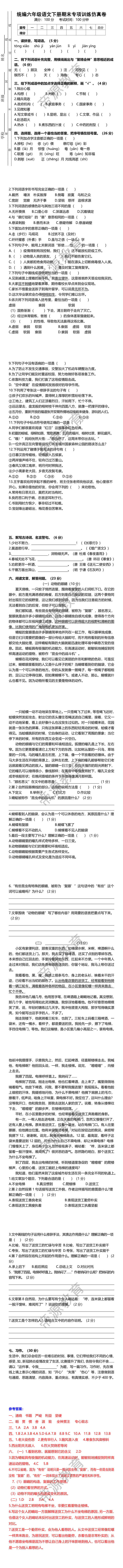 统编六年级语文下册期末专项训练仿真卷