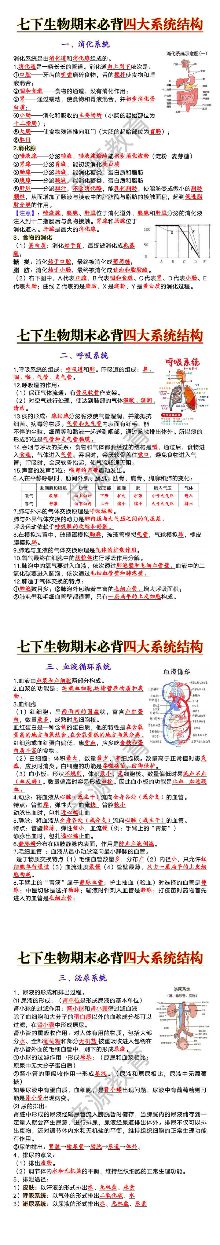 七下生物期末必背四大系统结构