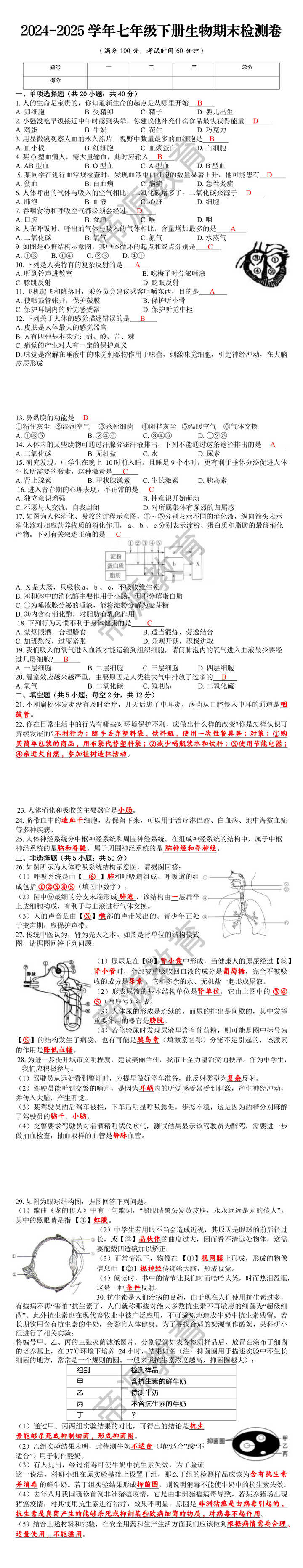 2024-2025学年七年级下册生物期末检测卷