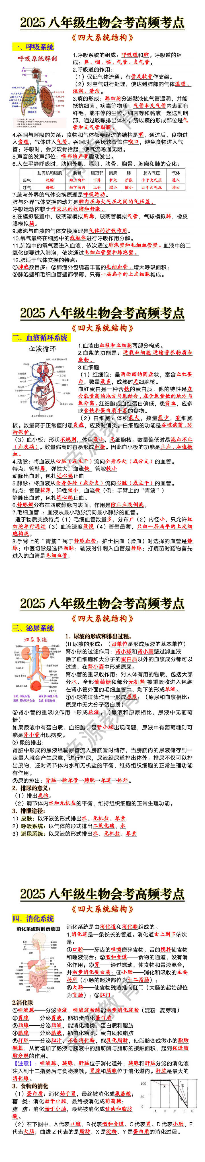 八年级生物会考高频考点之《四大系统结构》