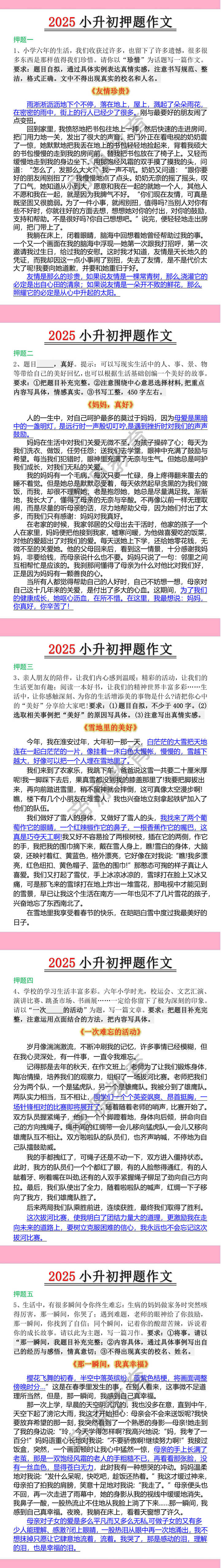 2025小升初押题作文优秀范文