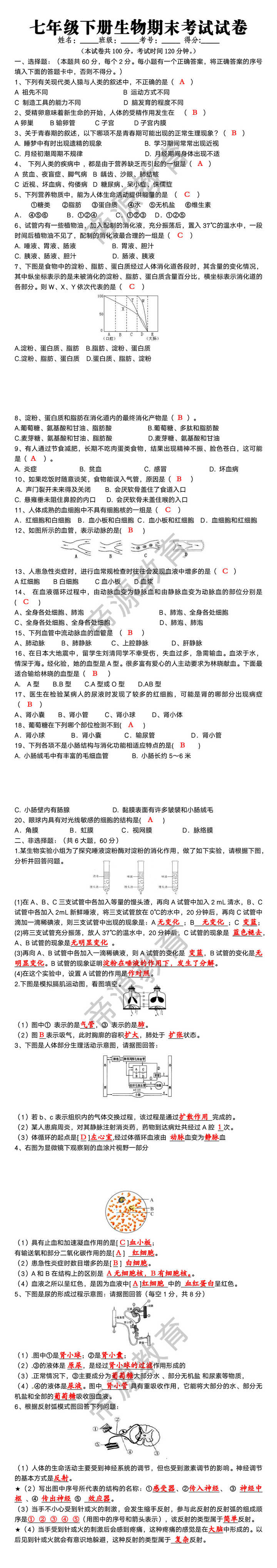 七年级下册生物期末考试试卷