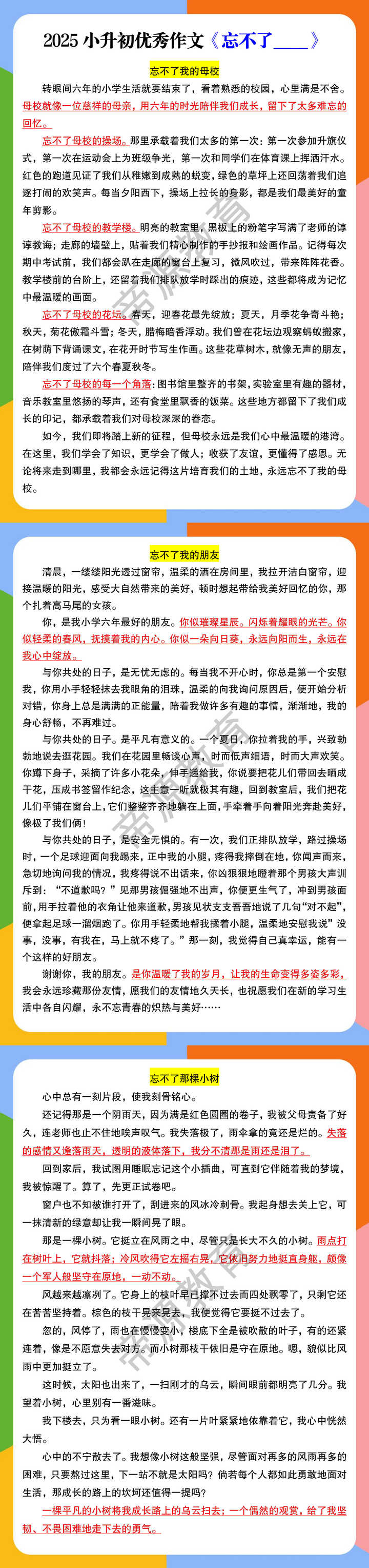 2025小升初优秀作文《忘不了____》
