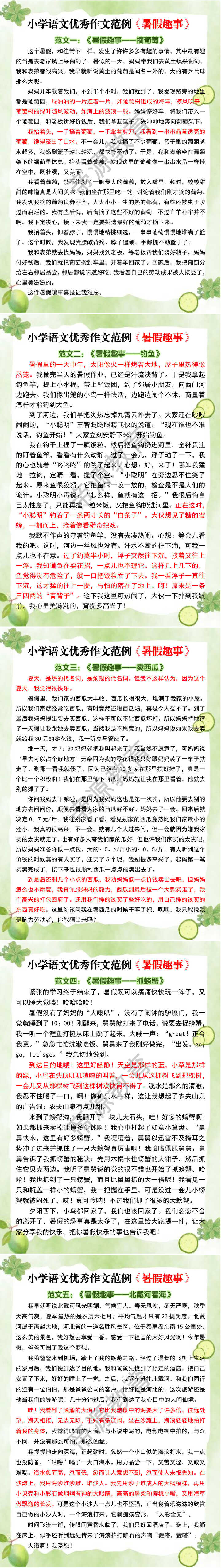 小学语文优秀作文范例《暑假趣事》