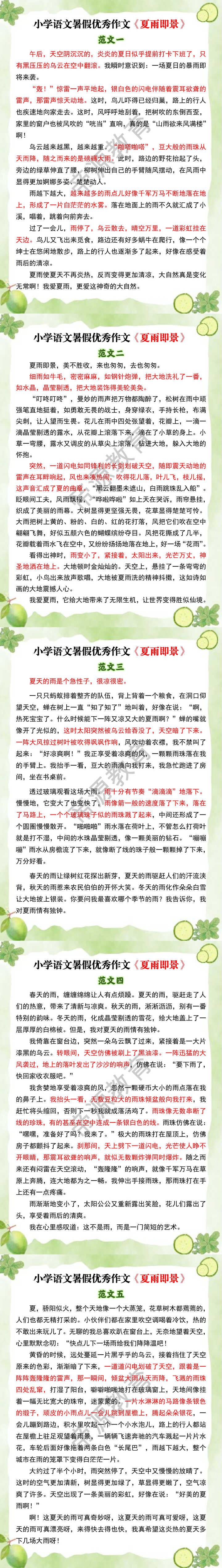 小学语文暑假优秀作文《夏雨即景》