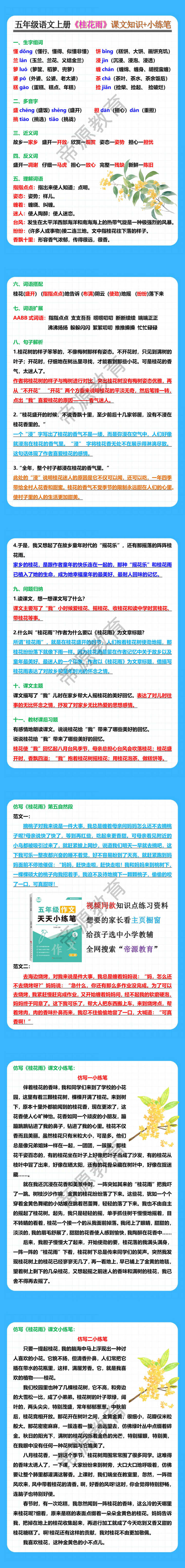 五年级语文上册《桂花雨》课文知识+小练笔