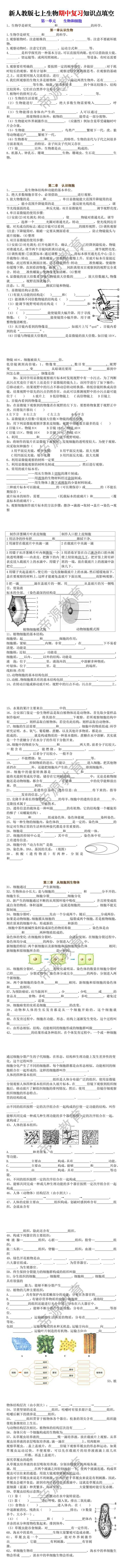 新人教版七上生物期中复习知识点填空（空白版）