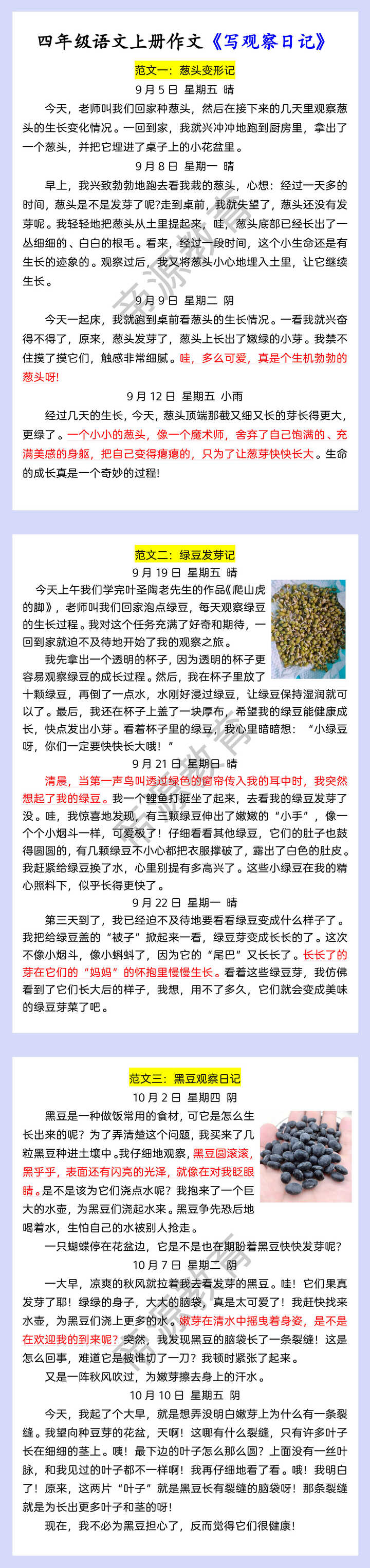 四年级语文上册作文《写观察日记》