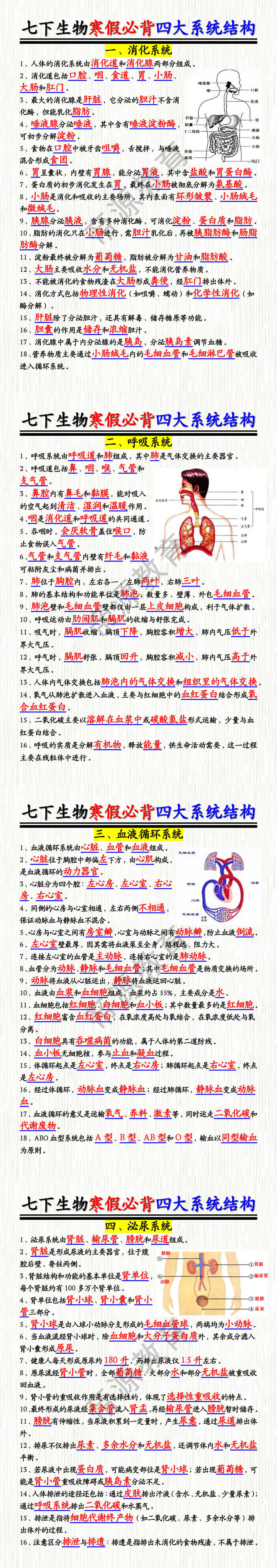七下生物寒假必背四大系统结构知识点