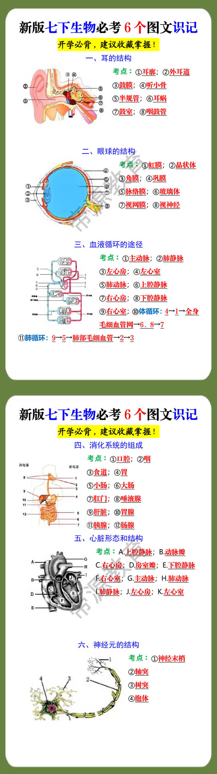 新版七下生物必考6个图文识记