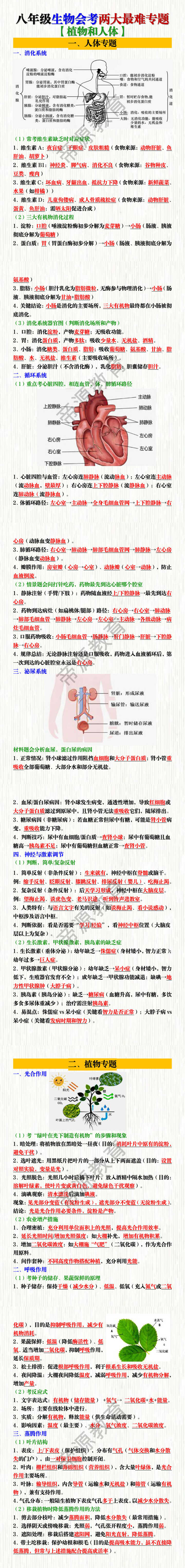 八年级生物会考两大最难专题 【植物和人体】