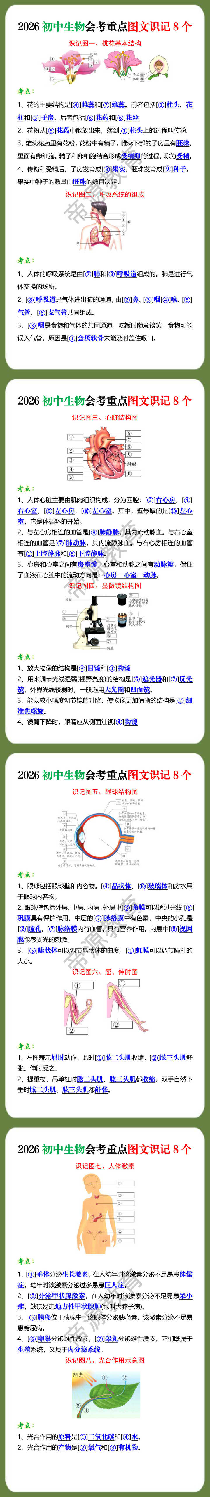 2026初中生物会考重点图文识记8个