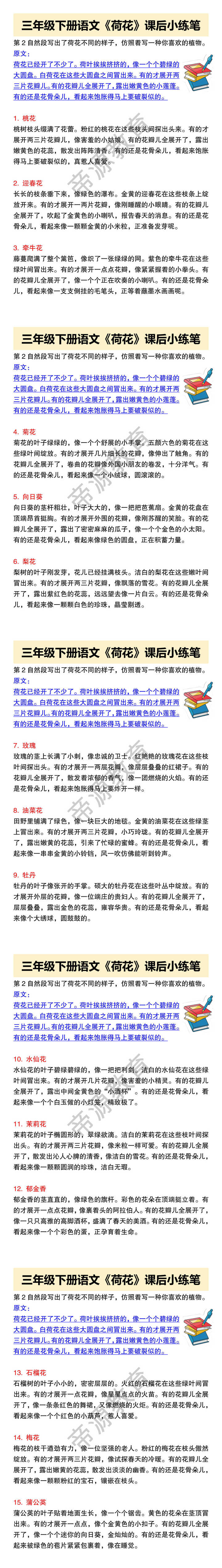 三年级下册语文《荷花》课后小练笔