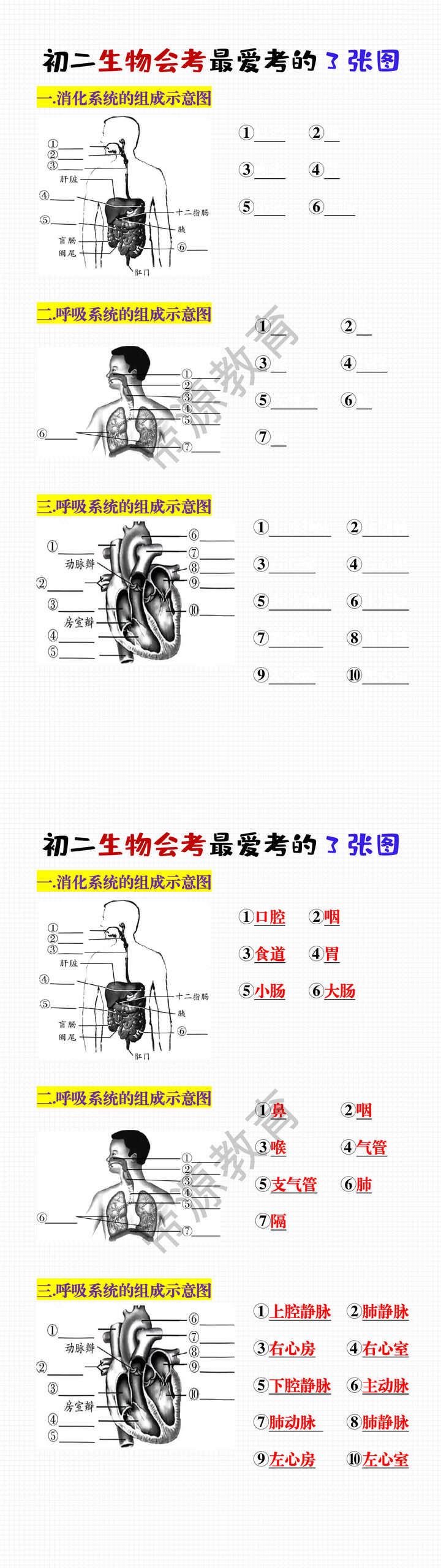初二生物会考最爱考的3张图