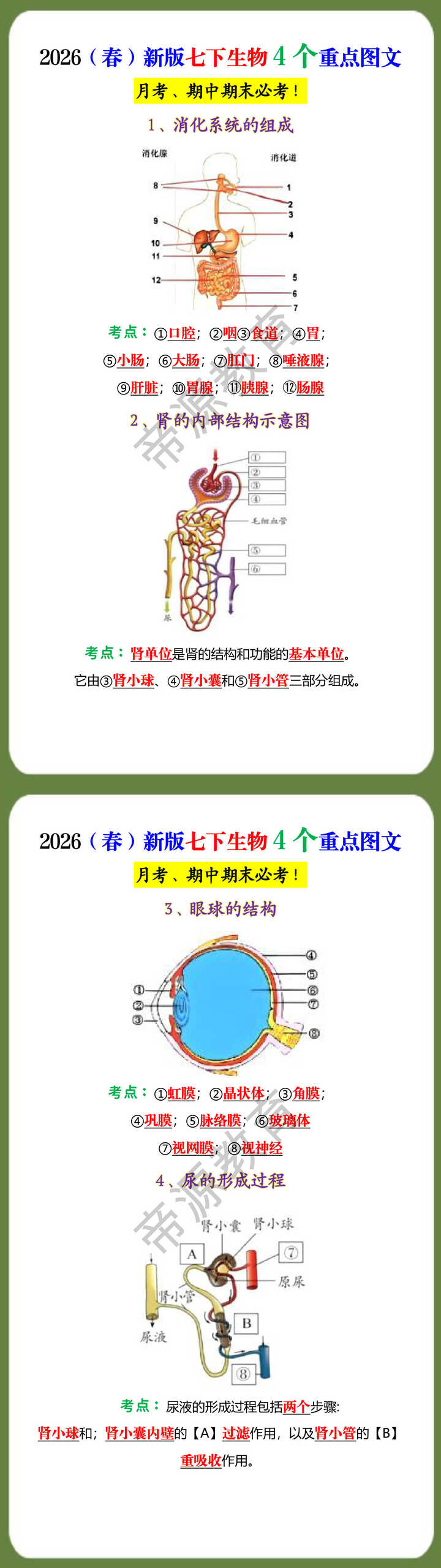 2026（春）新版七下生物4个重点图文