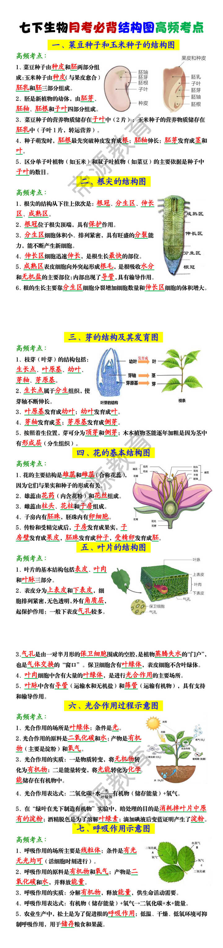 七下生物月考必背结构图高频考点