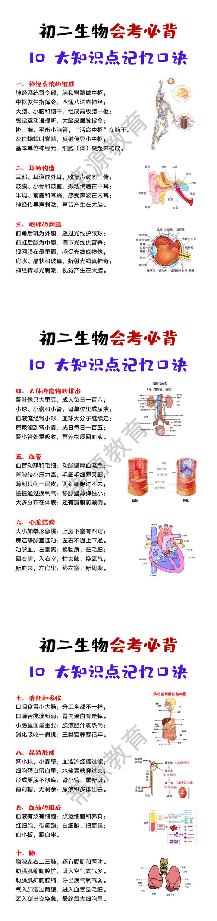 初二生物会考必背10大知识点记忆口诀