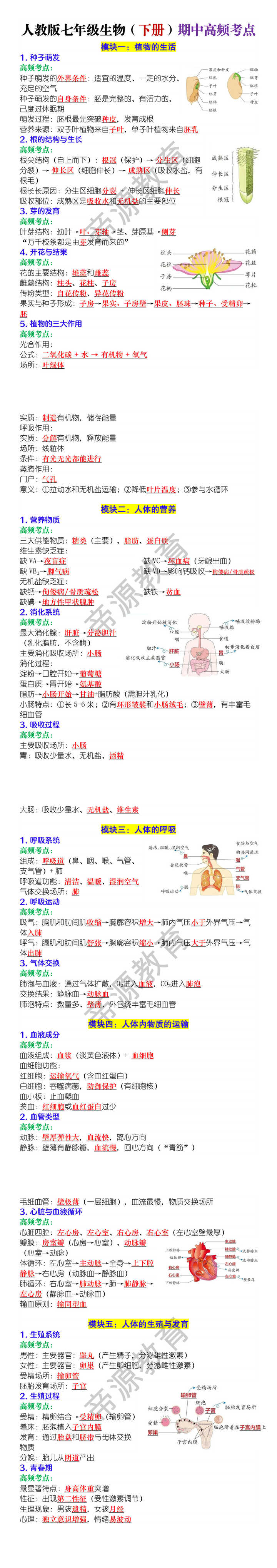 人教版七年级生物（下册）期中高频考点