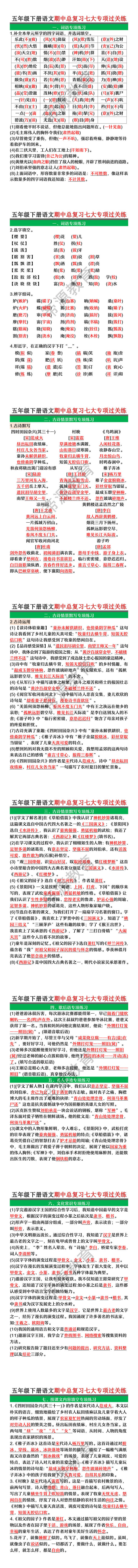 五年级下册语文期中总复习七大专项过关练 五年级下册语文期中总复习七大专项过关练
