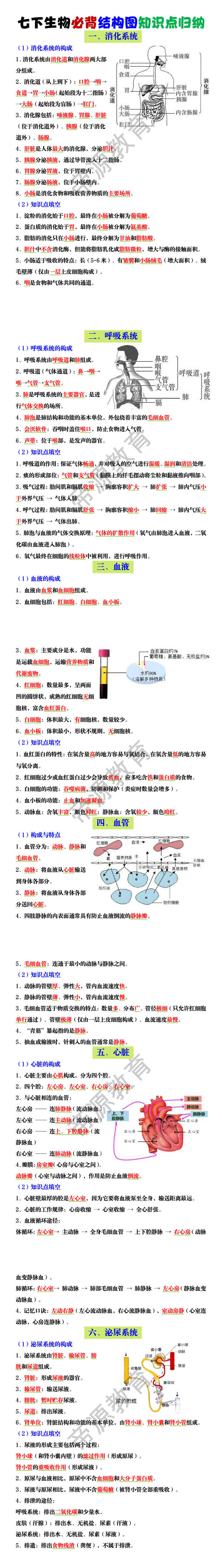 七下生物必背结构图知识点归纳