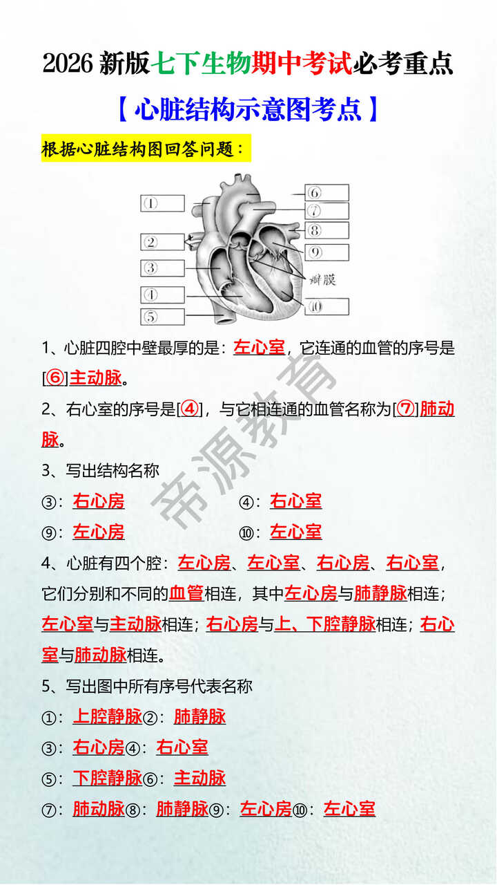 2026新版七下生物期中考试必考重点【心脏结构示意图考点】