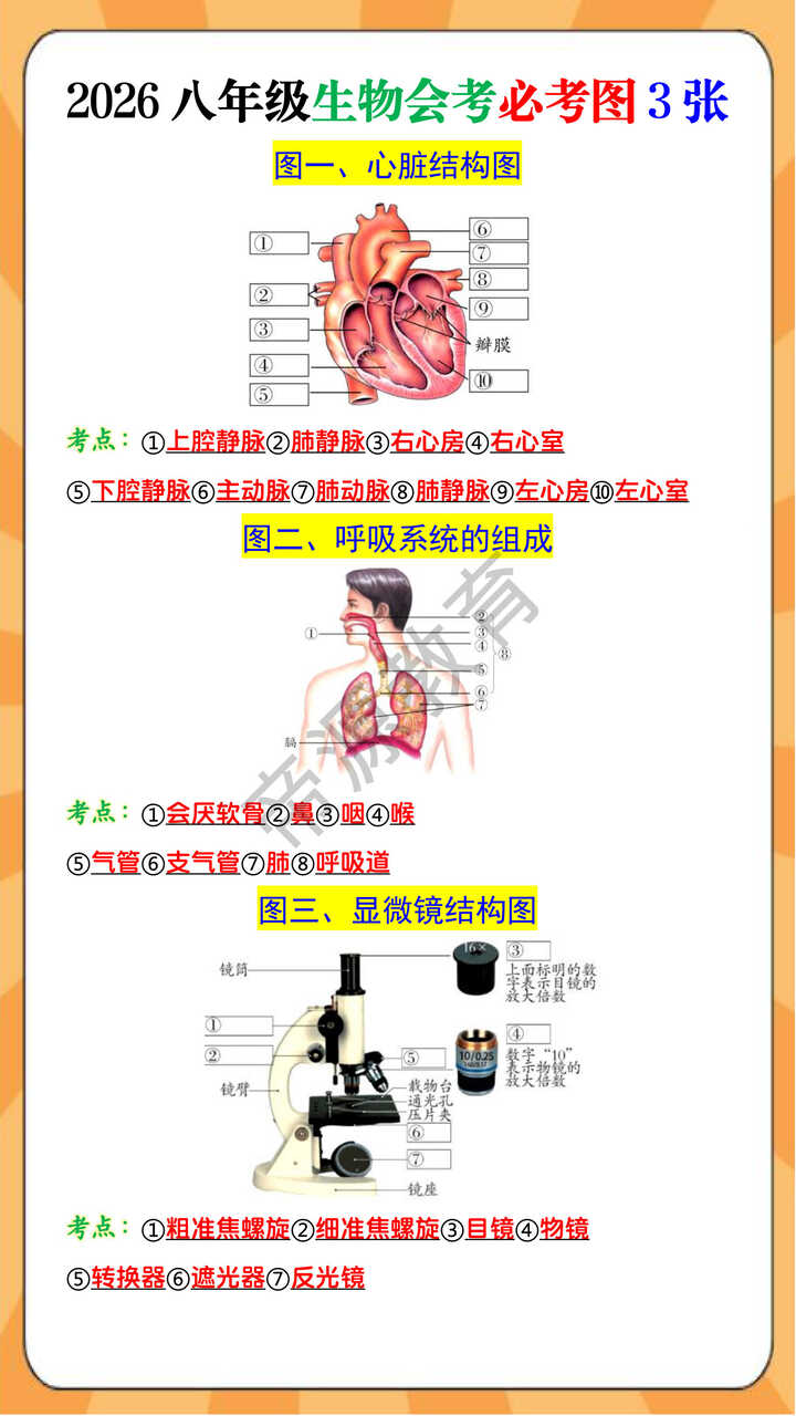 2026八年级生物会考必考图3张
