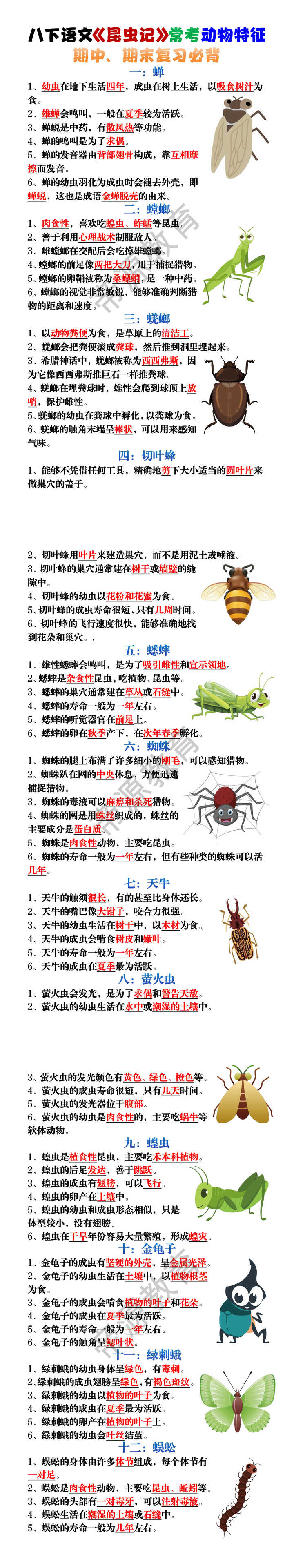 八下语文《昆虫记》常考动物特征必背考点
