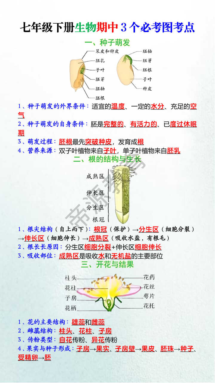 七年级下册生物期中3个必考图考点