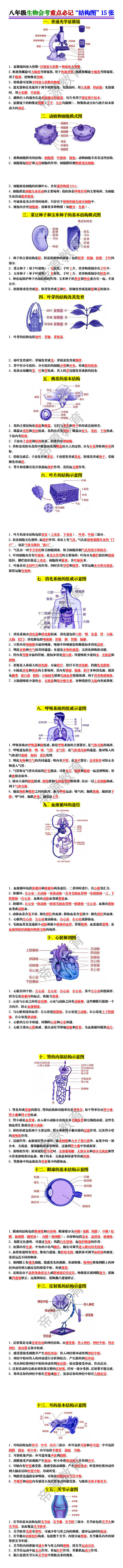 八年级生物会考重点必记“结构图”15张