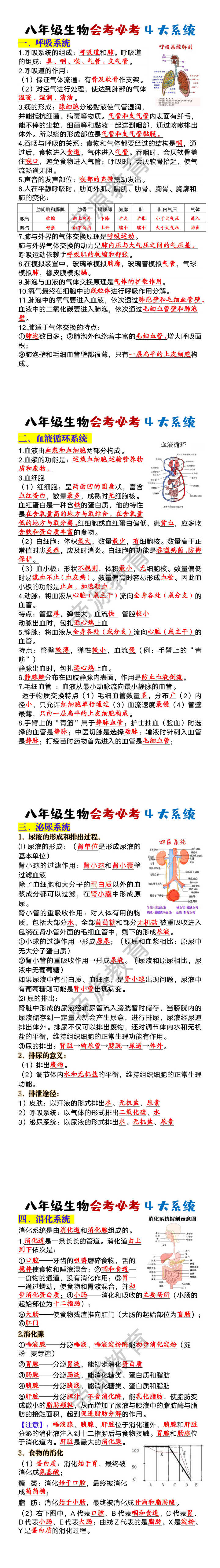 八年级生物会考必考4大系统