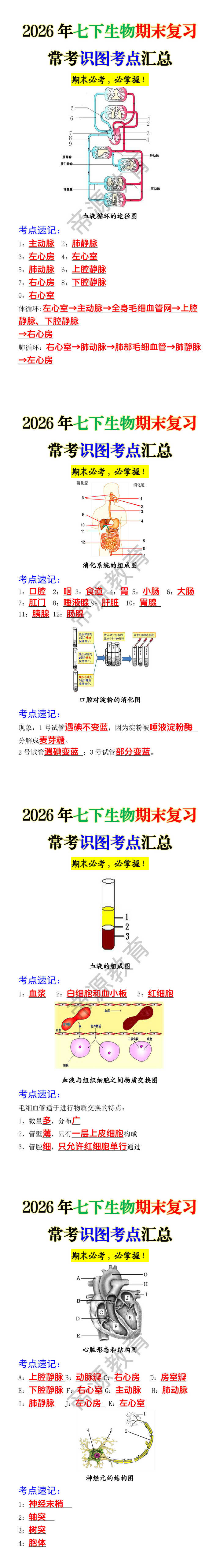 2026年七下生物期末复习常考识图考点汇总