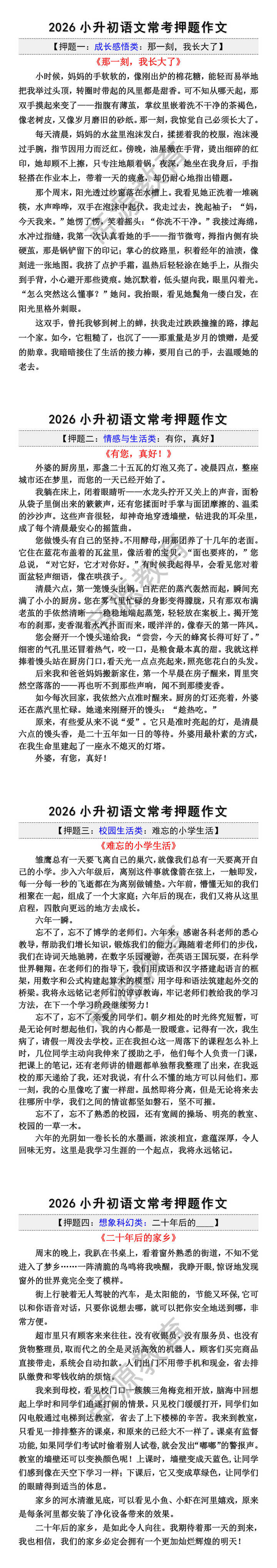 2026小升初语文常考押题作文