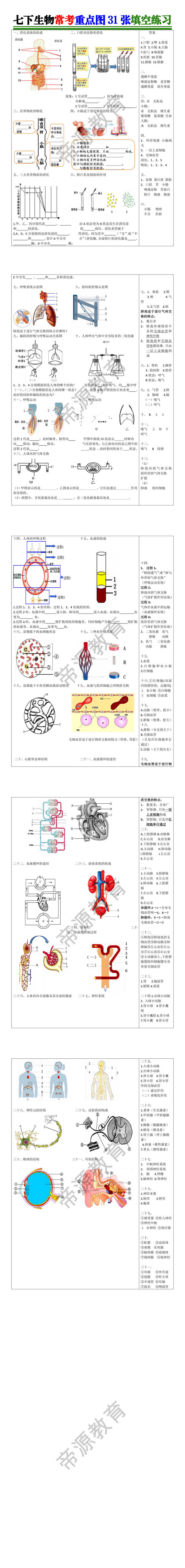 七下生物常考重点图31张填空练习