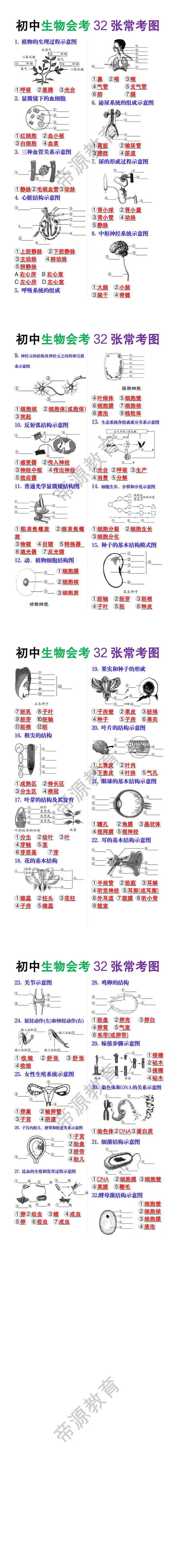初中生物会考32张常考图