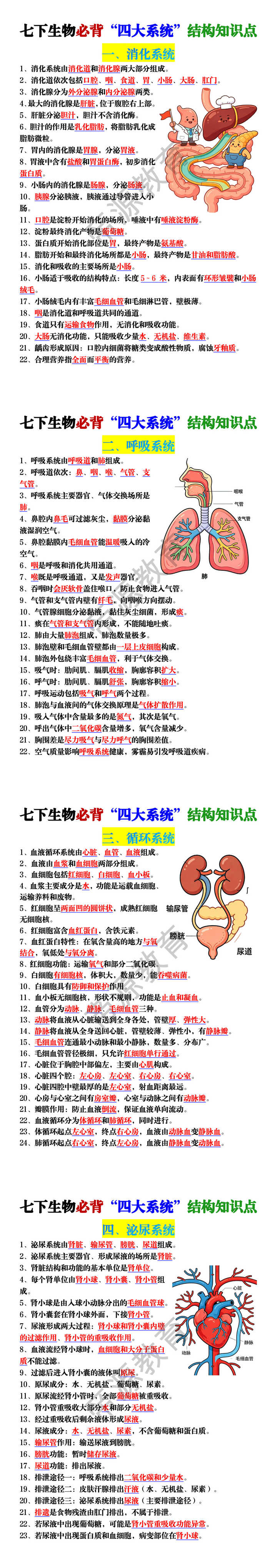七下生物必背“四大系统”结构知识点