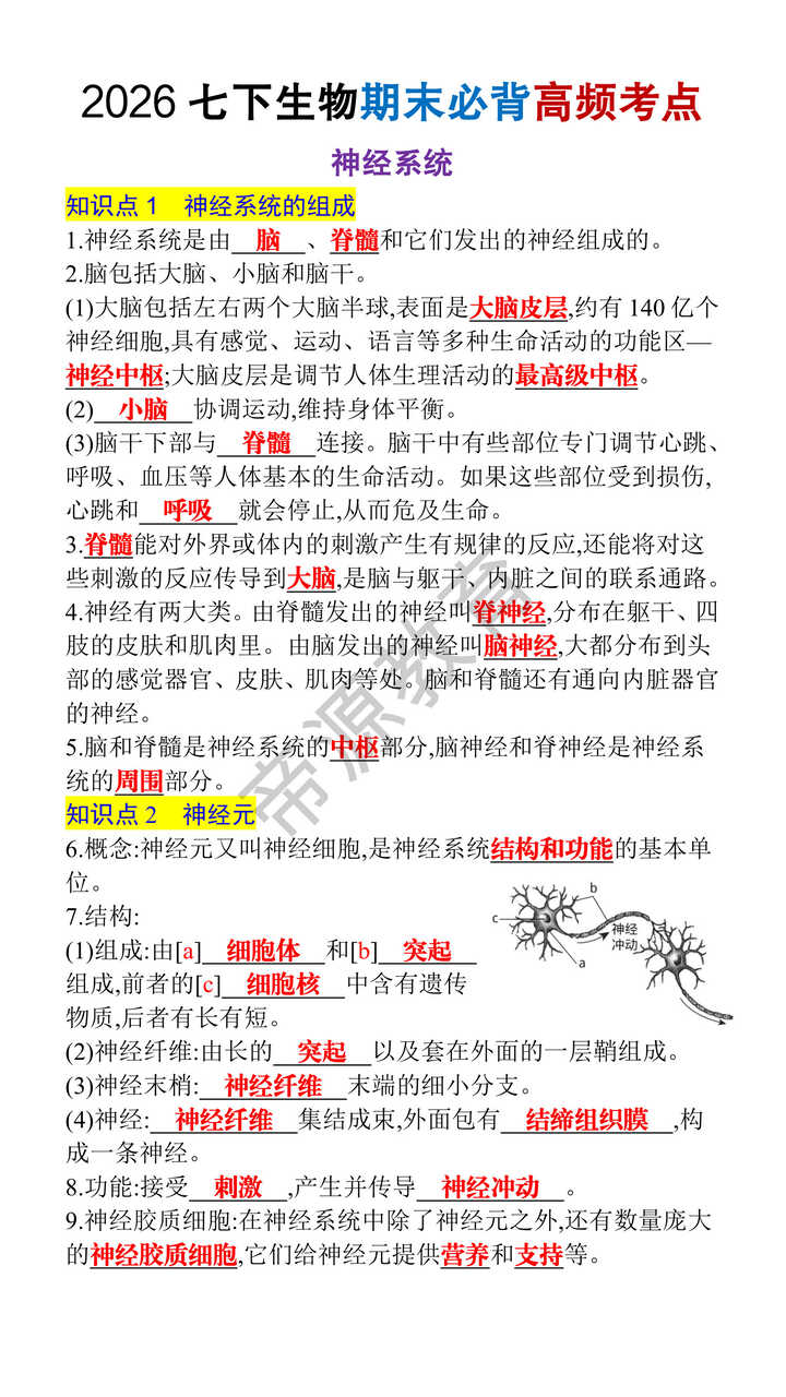 2026七下生物期末必背高频考点之《神经系统》