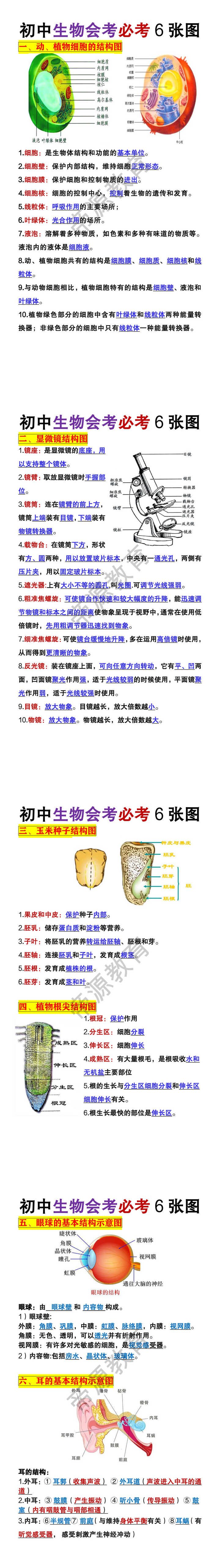 初中生物会考必考6张图