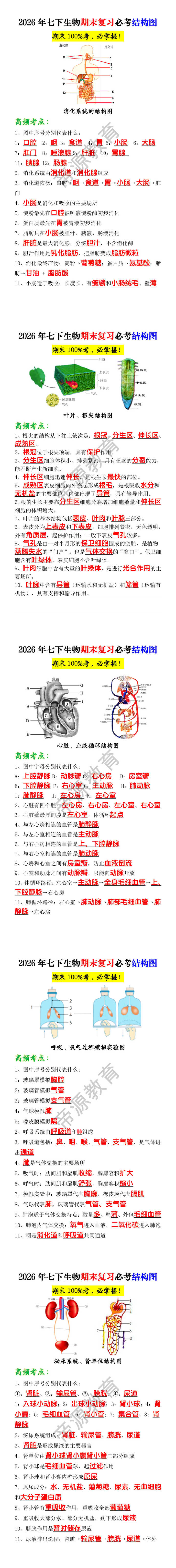 2026年七下生物期末复习必考结构图