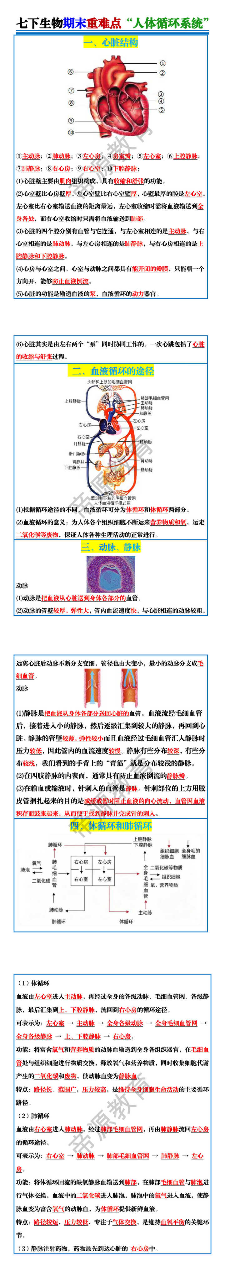 七下生物期末重难点“人体循环系统” 七下生物期末重难点“人体循环系统”