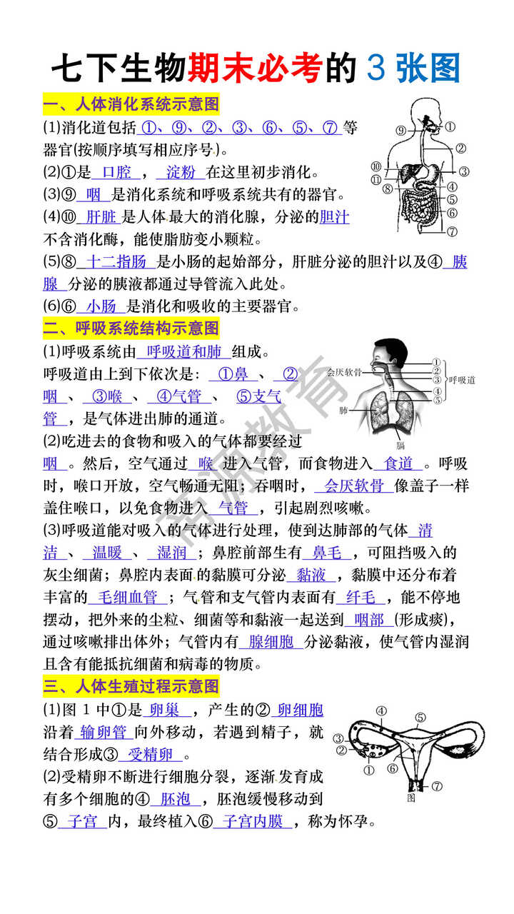 七年级下册生物期末必考的3张图