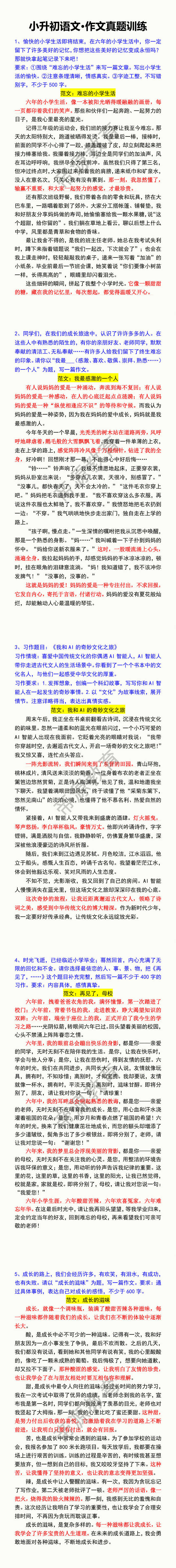 小升初语文·作文真题训练 小升初语文·作文真题训练