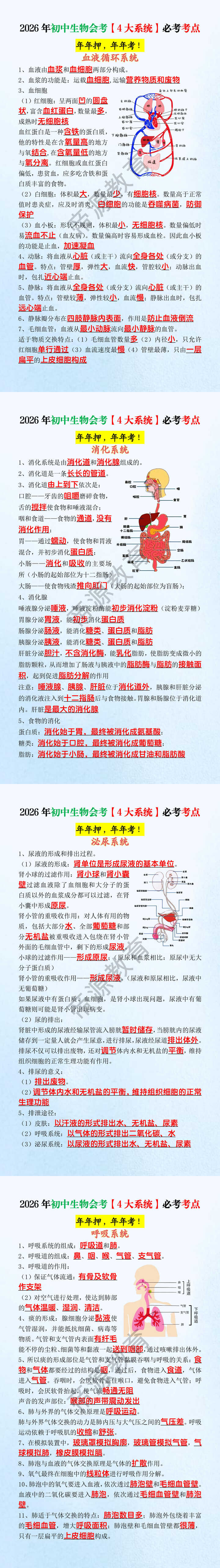 2026年初中生物会考【4大系统】必考考点